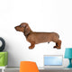 Smooth-Haired Dachshund Wall Decal