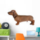 Smooth-Haired Dachshund Wall Decal