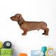 Smooth-Haired Dachshund Wall Decal