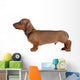 Smooth-Haired Dachshund Wall Decal