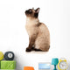 Siamese cat Wall Decal