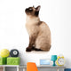 Siamese cat Wall Decal
