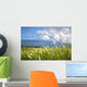 Hawaii, Maui, Haleakala in the distance, sugar cane field Wall Mural