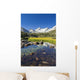 Beautiful scene in the Eastern Sierras Wall Mural