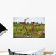 Indonesia, Bali, Ubud, Vintage bike in front of rice fields Wall Mural