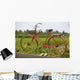 Indonesia, Bali, Ubud, Vintage bike in front of rice fields Wall Mural