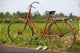 Indonesia, Bali, Ubud, Vintage bike in front of rice fields Wall Mural