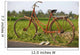 Indonesia, Bali, Ubud, Vintage bike in front of rice fields Wall Mural