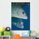 Caribbean, Netherlands Antilles, A pair of Cubera Snapper Wall Mural
