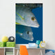 Caribbean, Netherlands Antilles, A pair of Cubera Snapper Wall Mural