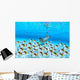 Woman snorkeler near sandy bottom, Butterflyfish school foreground Wall Mural