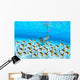 Woman snorkeler near sandy bottom, Butterflyfish school foreground Wall Mural