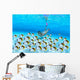 Woman snorkeler near sandy bottom, Butterflyfish school foreground Wall Mural