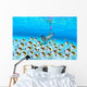 Woman snorkeler near sandy bottom, Butterflyfish school foreground Wall Mural