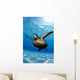 Green sea turtle surface reflections, sandy bottom Wall Mural