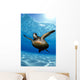 Green sea turtle surface reflections, sandy bottom Wall Mural