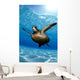 Green sea turtle surface reflections, sandy bottom Wall Mural