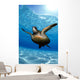 Green sea turtle surface reflections, sandy bottom Wall Mural