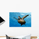 Close-up front underside view green sea turtle Wall Mural