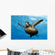 Close-up front underside view green sea turtle Wall Mural