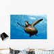 Close-up front underside view green sea turtle Wall Mural