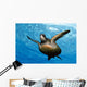 Close-up front underside view green sea turtle Wall Mural