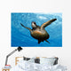 Close-up front underside view green sea turtle Wall Mural