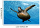 Close-up front underside view green sea turtle Wall Mural