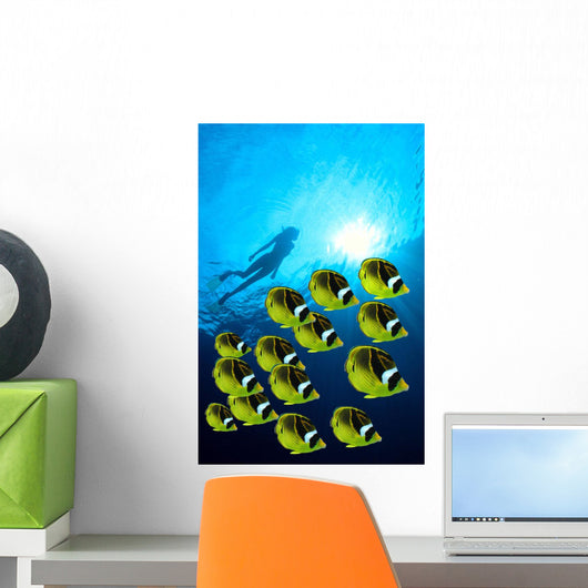Raccoon Butterflyfish school, sunburst Wall Mural