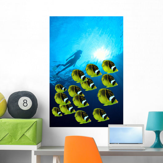 Raccoon Butterflyfish school, sunburst Wall Mural