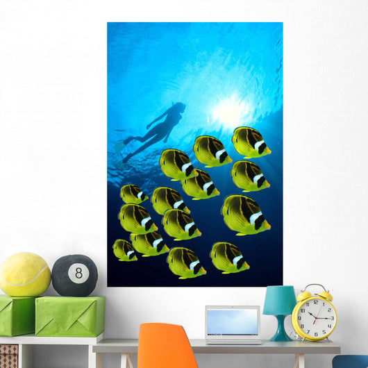 Raccoon Butterflyfish school, sunburst Wall Mural