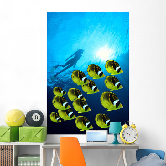 Raccoon Butterflyfish school, sunburst Wall Mural