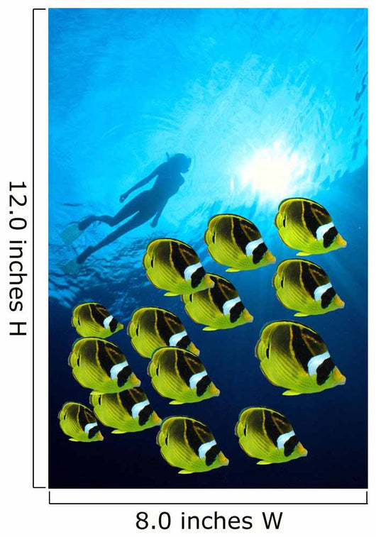 Raccoon Butterflyfish school, sunburst Wall Mural