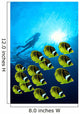 Raccoon Butterflyfish school, sunburst Wall Mural