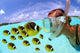 Over/under woman snorkeler face to face with Butterflyfish school Wall Mural