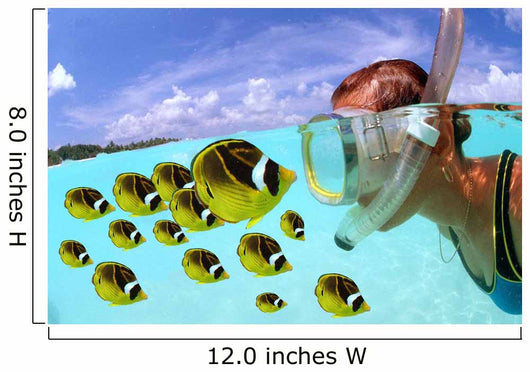 Over/under woman snorkeler face to face with Butterflyfish school Wall Mural