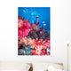 Diver in background of colorful soft coral reef scene with anthias Wall Mural