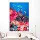 Diver in background of colorful soft coral reef scene with anthias Wall Mural