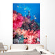 Diver in background of colorful soft coral reef scene with anthias Wall Mural