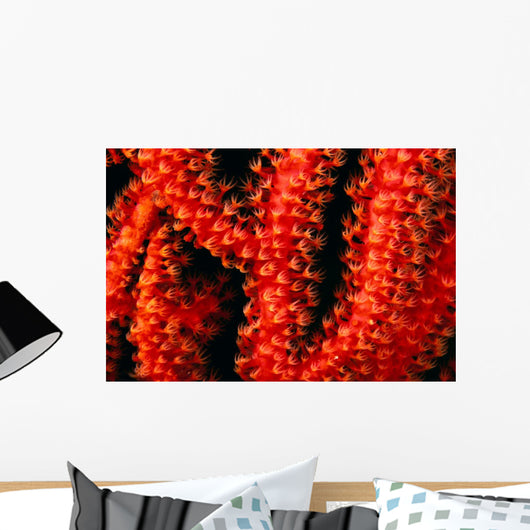 Polyp detail of gorgonian coral Wall Mural