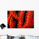 Polyp detail of gorgonian coral Wall Mural