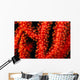 Polyp detail of gorgonian coral Wall Mural