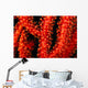 Polyp detail of gorgonian coral Wall Mural
