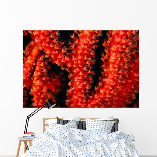 Polyp detail of gorgonian coral Wall Mural