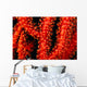 Polyp detail of gorgonian coral Wall Mural