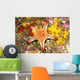 Mexico, Gulf sea star on colorful coral Wall Mural