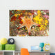Mexico, Gulf sea star on colorful coral Wall Mural