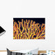 Australia, Gorgonian coral fan close-up detail Wall Mural