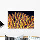 Australia, Gorgonian coral fan close-up detail Wall Mural