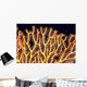 Australia, Gorgonian coral fan close-up detail Wall Mural